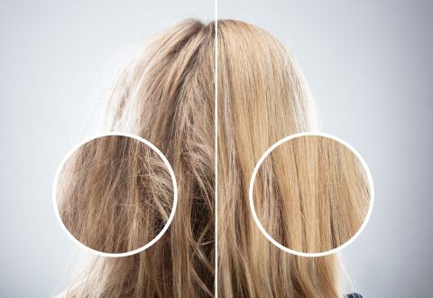 ¿Pelo de Invierno? Recupera Densidad y Brillo Antes de la Primavera 🌿